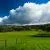 Australian Landscapes by Ian Johnson