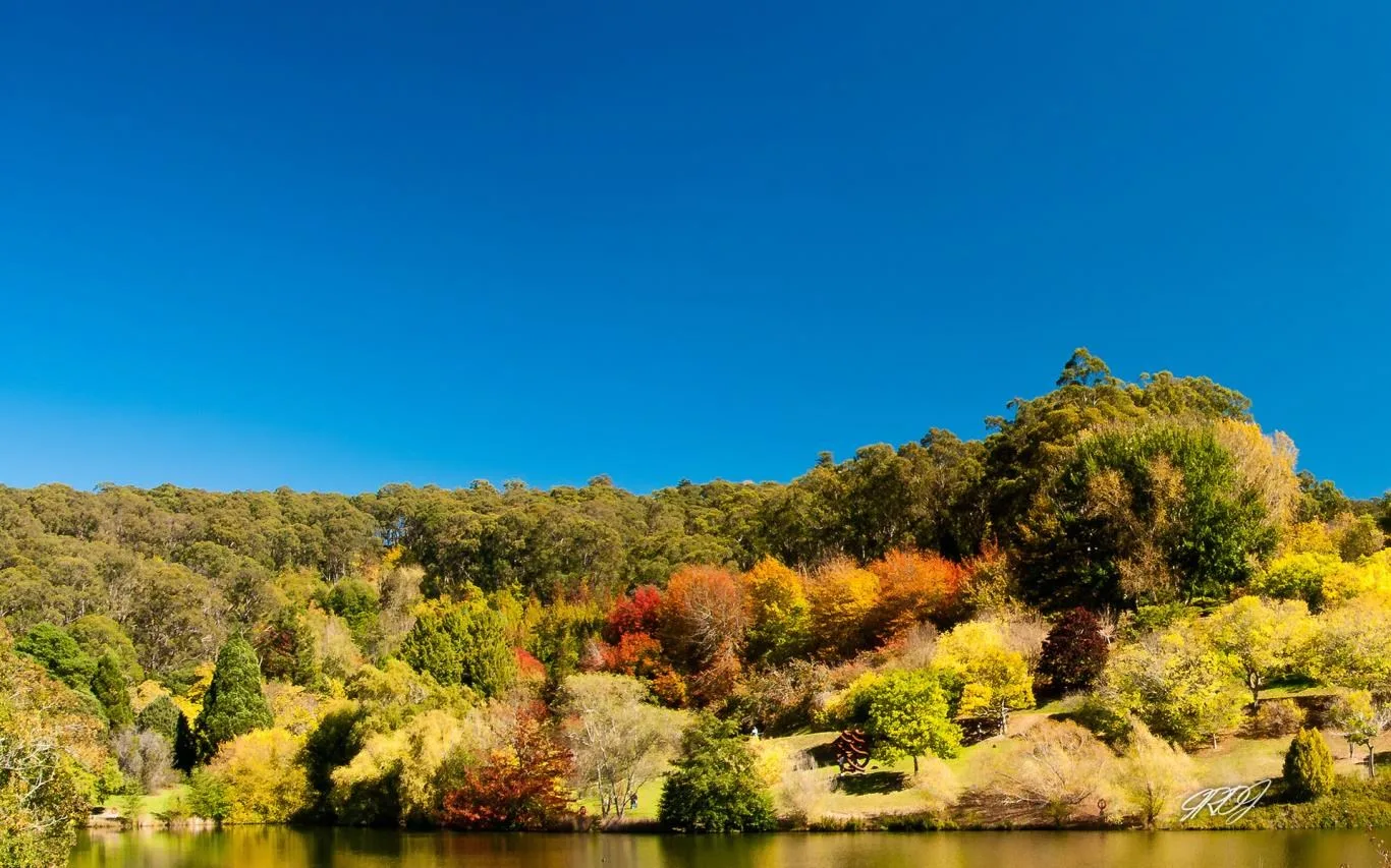 Australian Landscapes by Ian Johnson screenshot 2