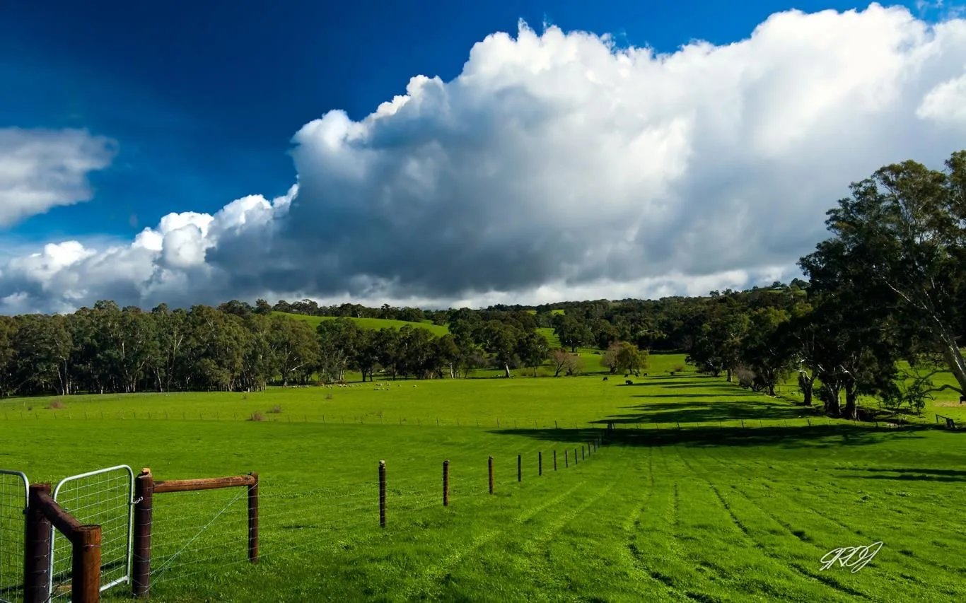 Australian Landscapes by Ian Johnson screenshot 3