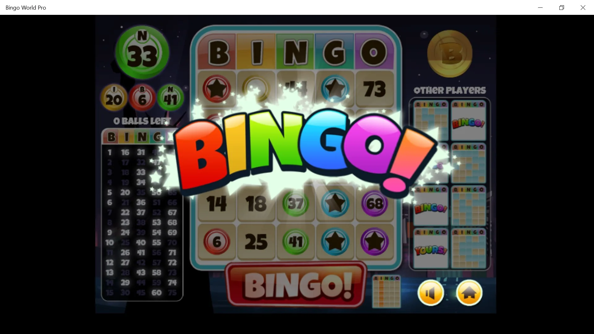Bingo World Pro screenshot 2