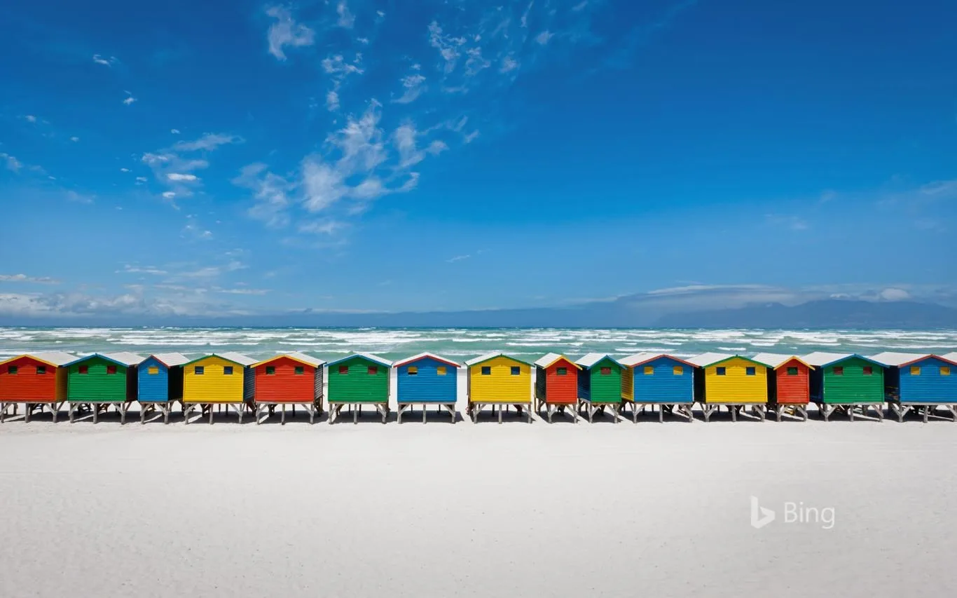 Bing in Africa screenshot 2