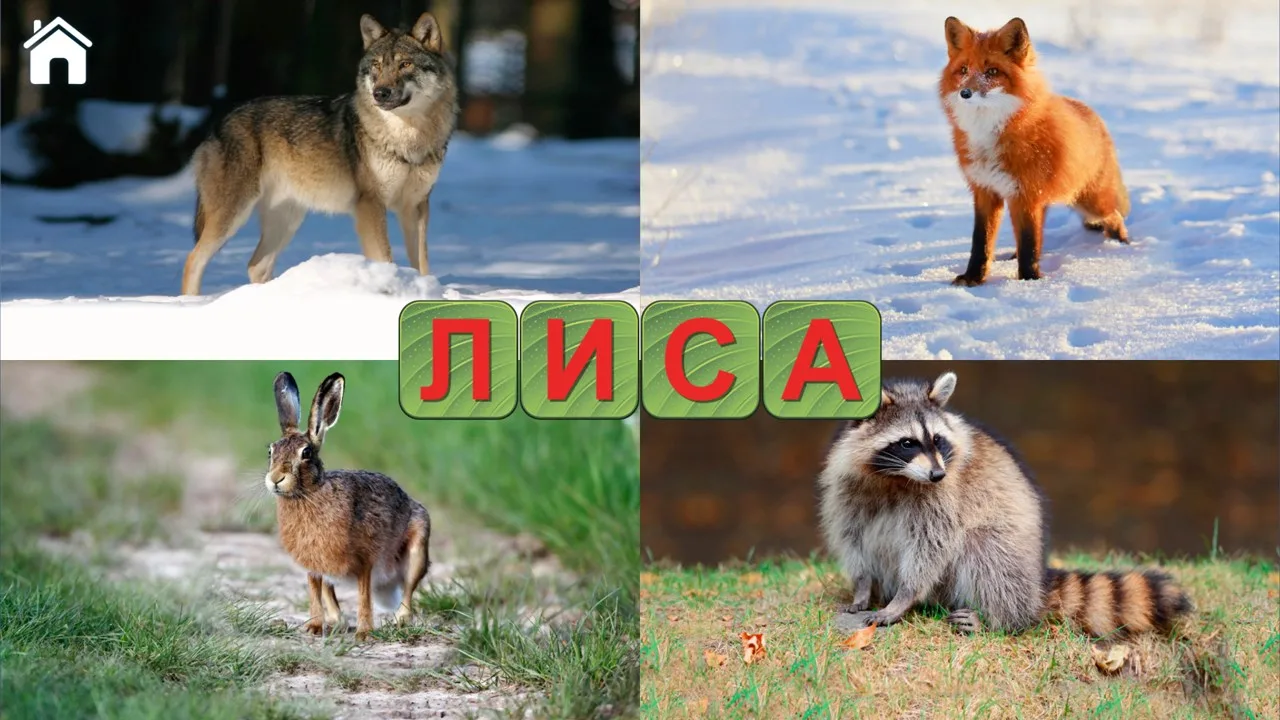 Учимся Читать, Спасаем Зверей! screenshot 1