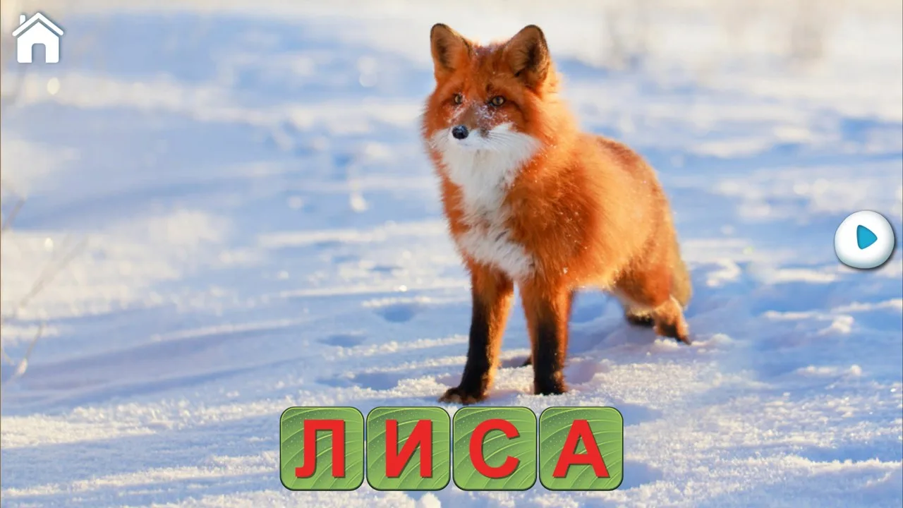 Учимся Читать, Спасаем Зверей! screenshot 5