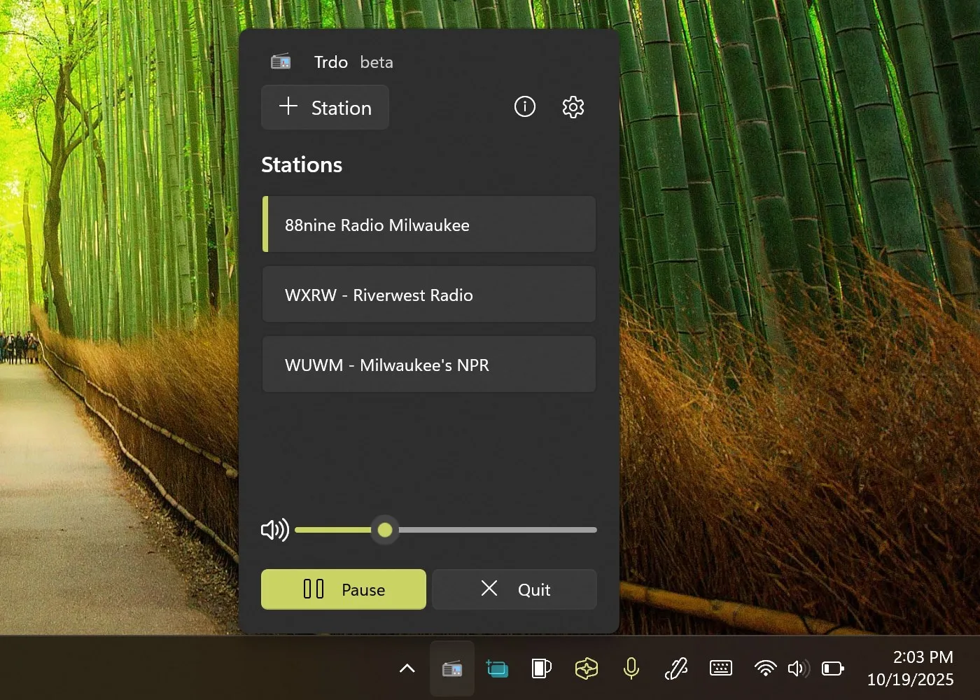 Trdo - A tiny internet radio player screenshot 2