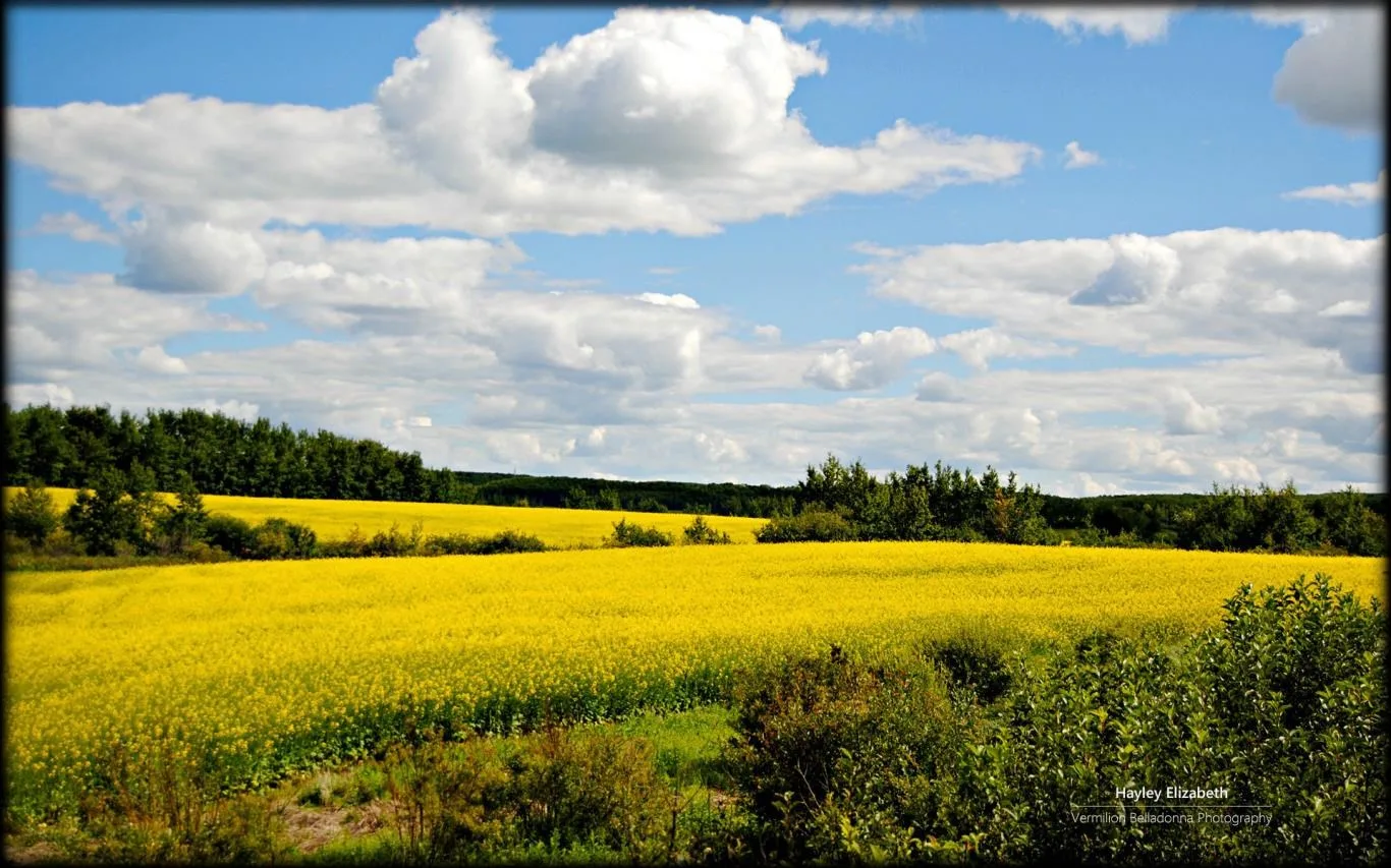 Exploring Manitoba by Hayley Elizabeth screenshot 3