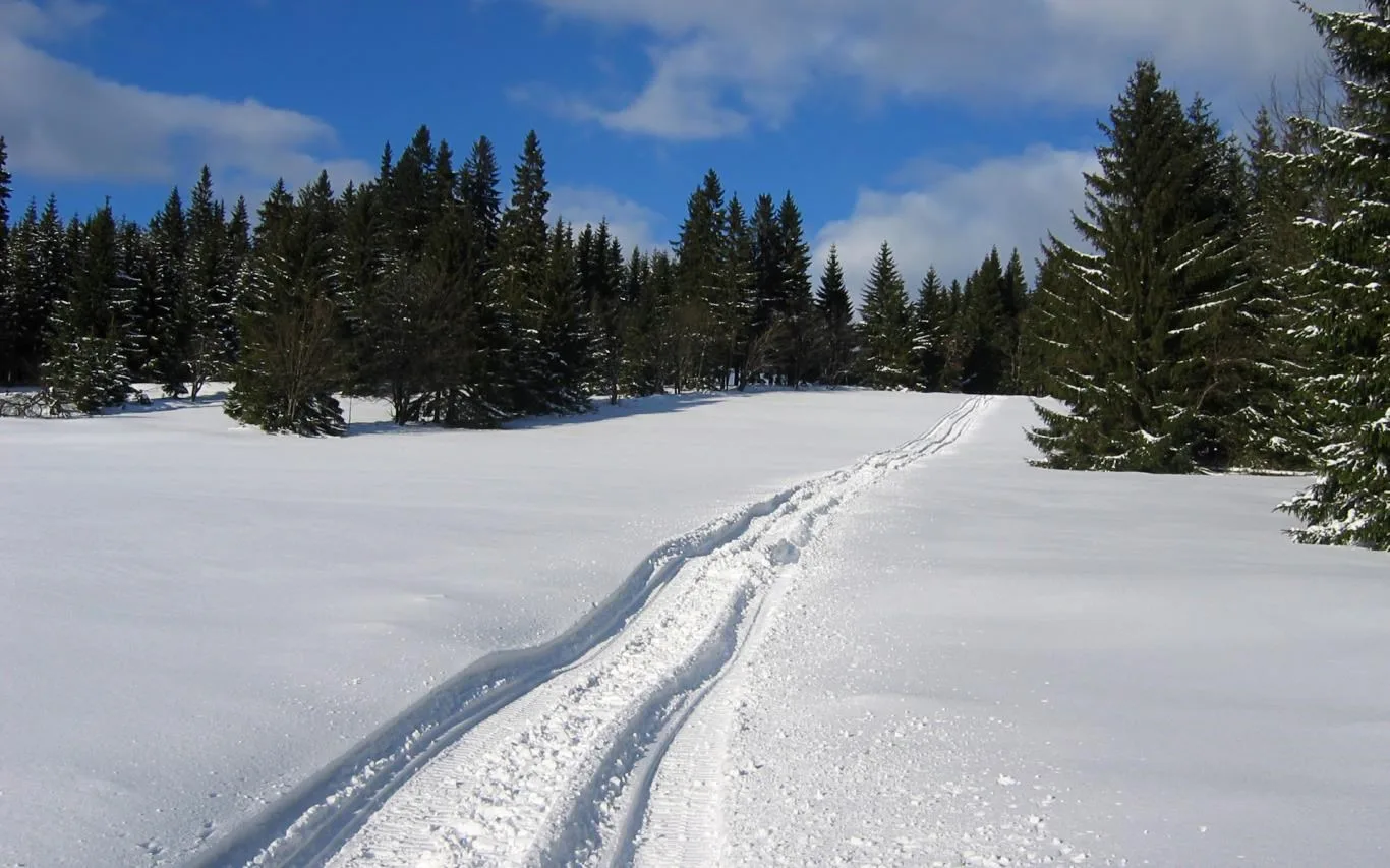 Czech Winter screenshot 2
