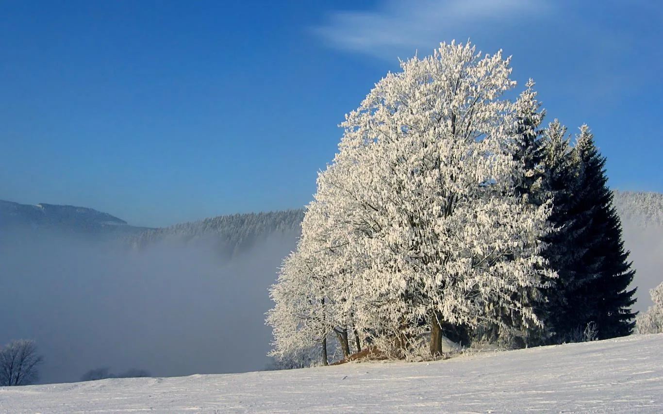 Czech Winter screenshot 3
