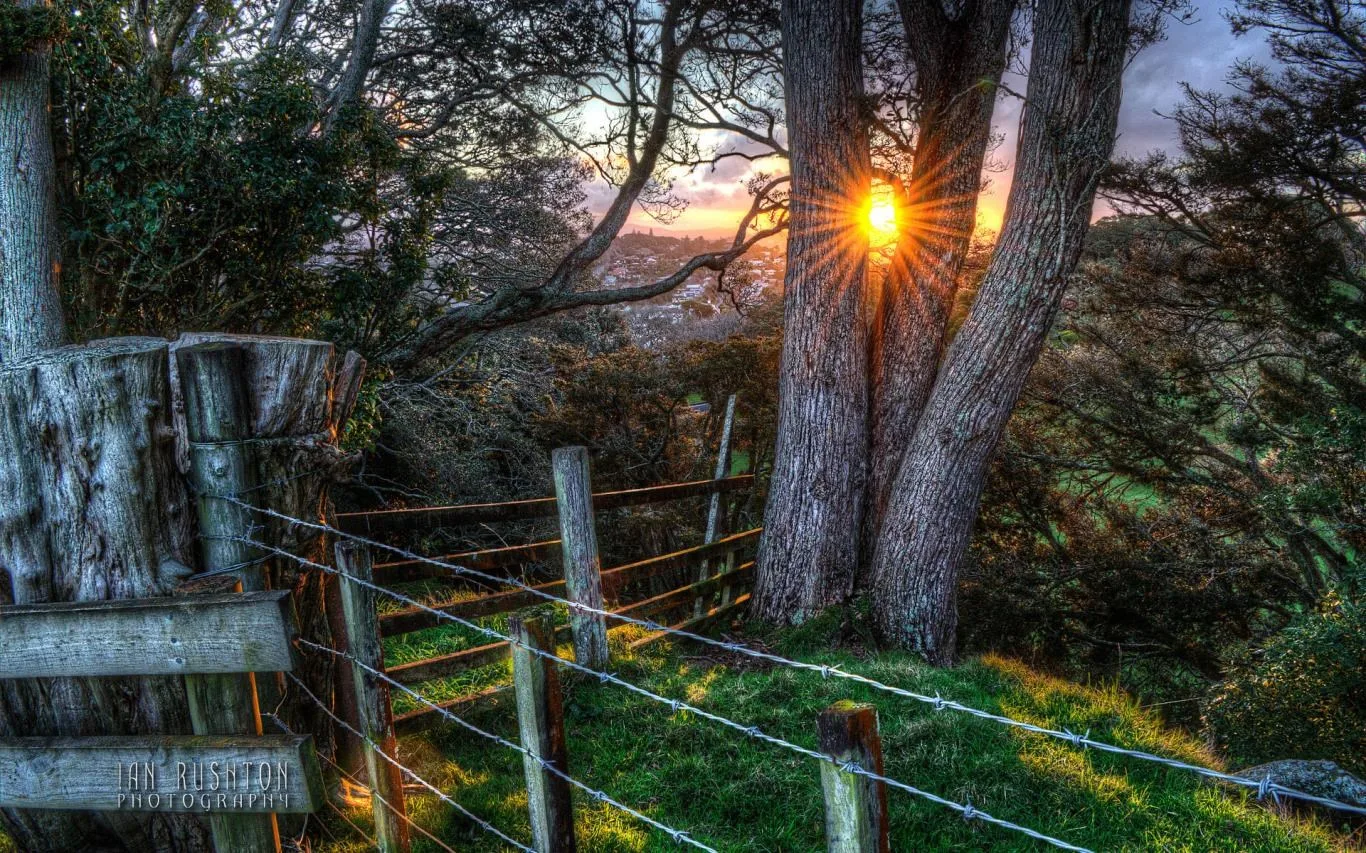 Aucklands One Tree Hill by Ian Rushton screenshot 2