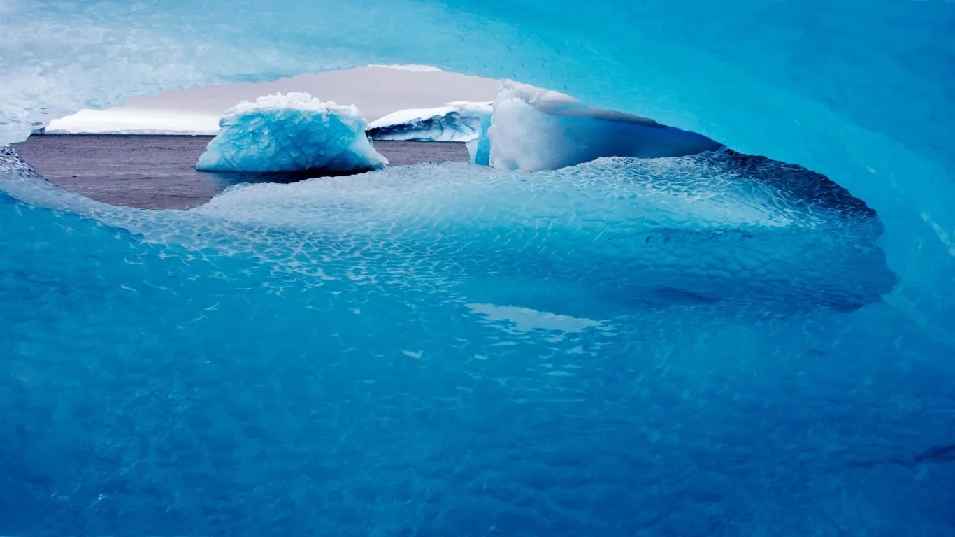 National Geographic Antarctica screenshot 3