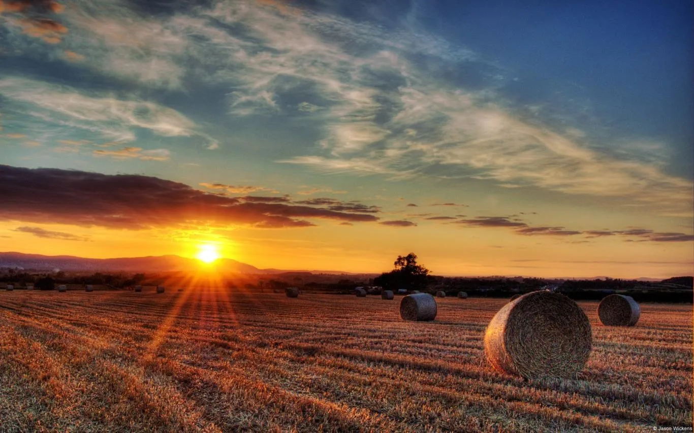 Community Showcase Rural Landscapes screenshot 1