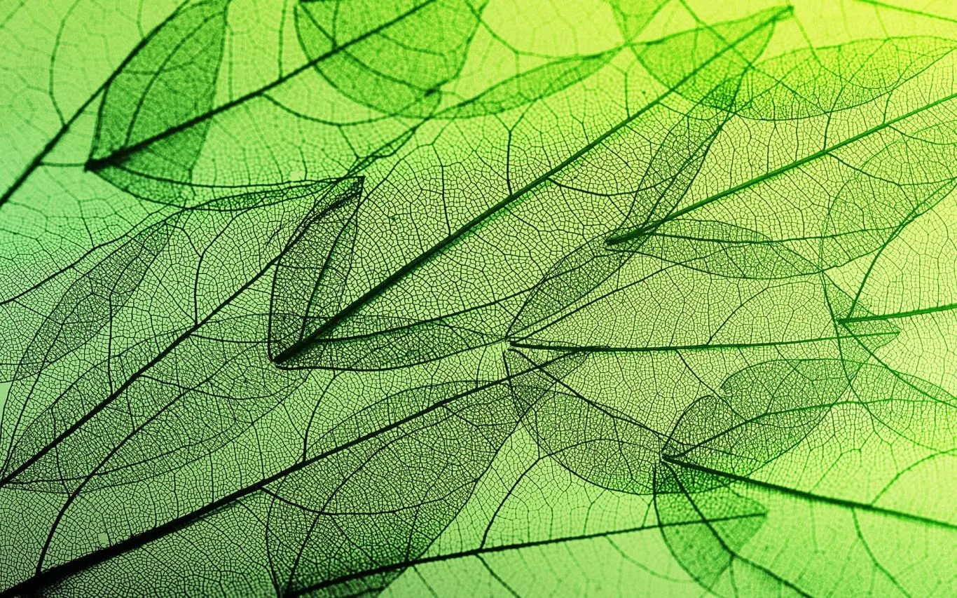 Leafy Structures screenshot 2