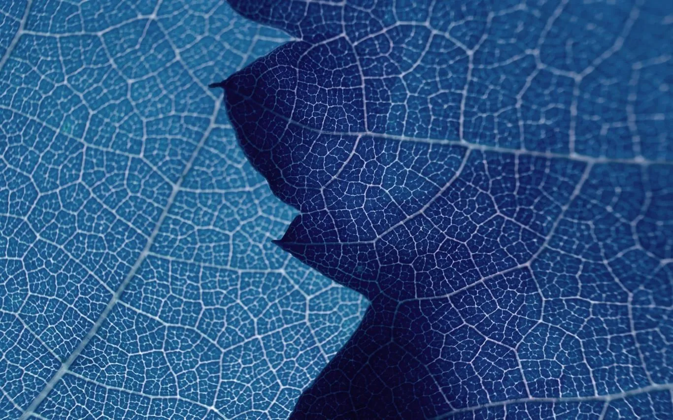 Leafy Structures screenshot 3