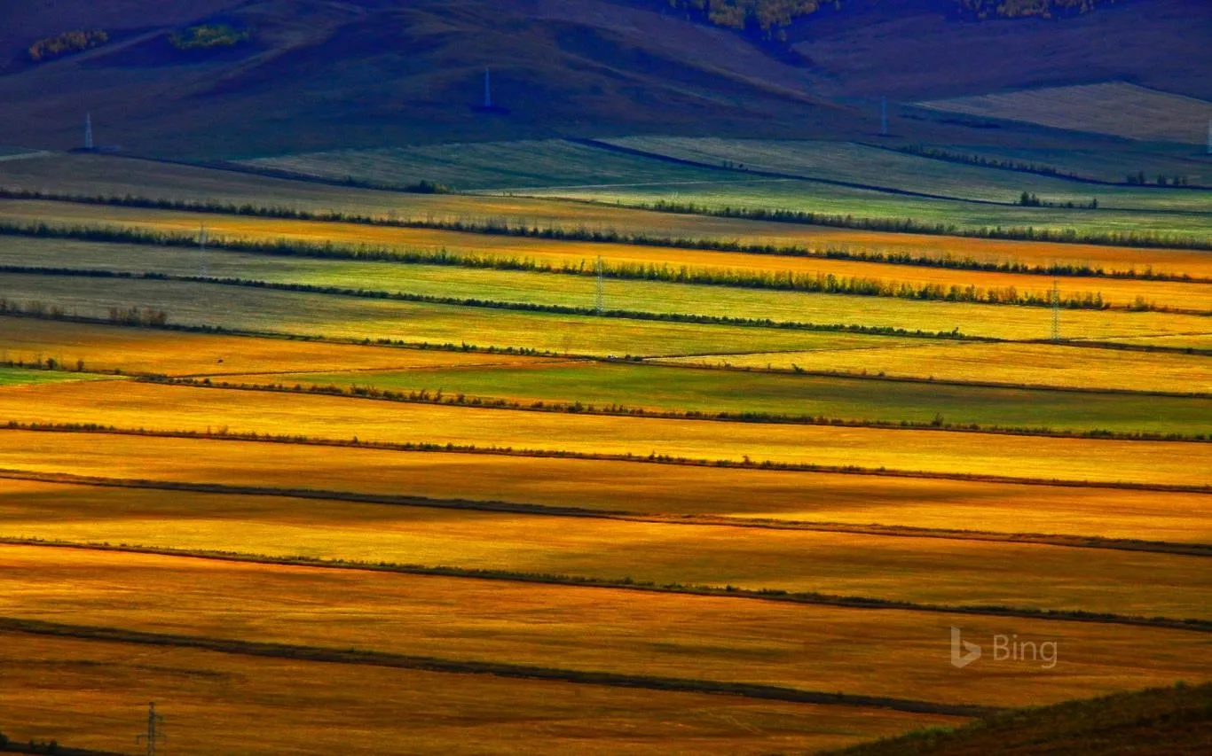 Bing Fall Colors screenshot 3