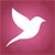 FlyGallery: Your personal media hub