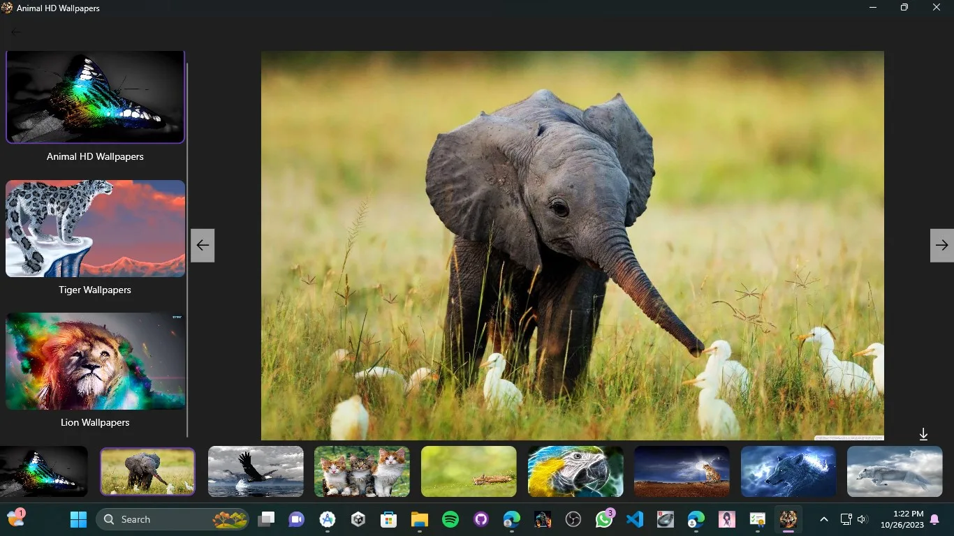 Animal wallpaper screenshot 2