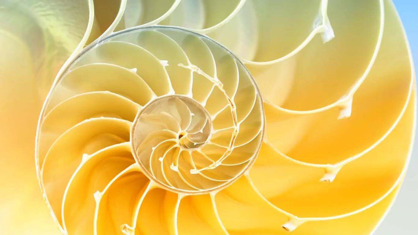 Spiraling Fractals screenshot 4