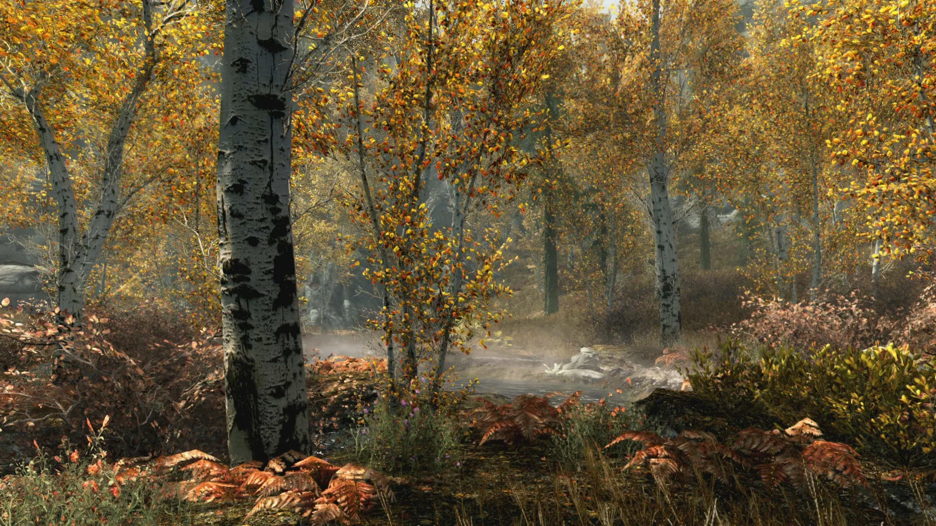The Elder Scrolls V: Skyrim Special Edition (PC) screenshot 5