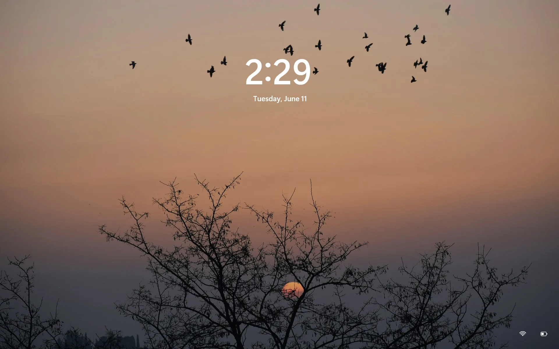 4K Wallpapers & Backgrounds - Nature Wallpaper screenshot 3