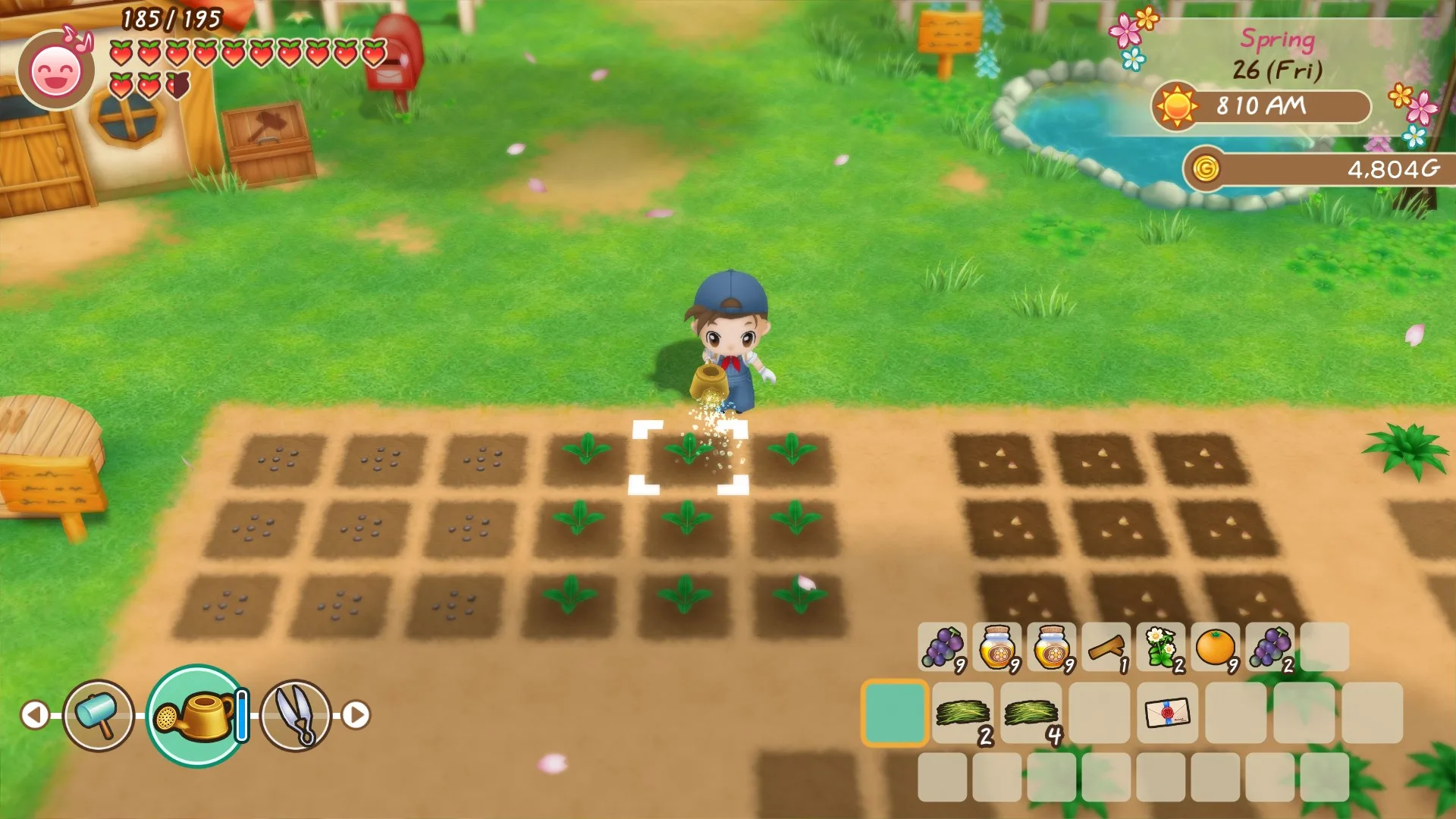 STORY OF SEASONS: Friends of Mineral Town - Windows Edition screenshot 1