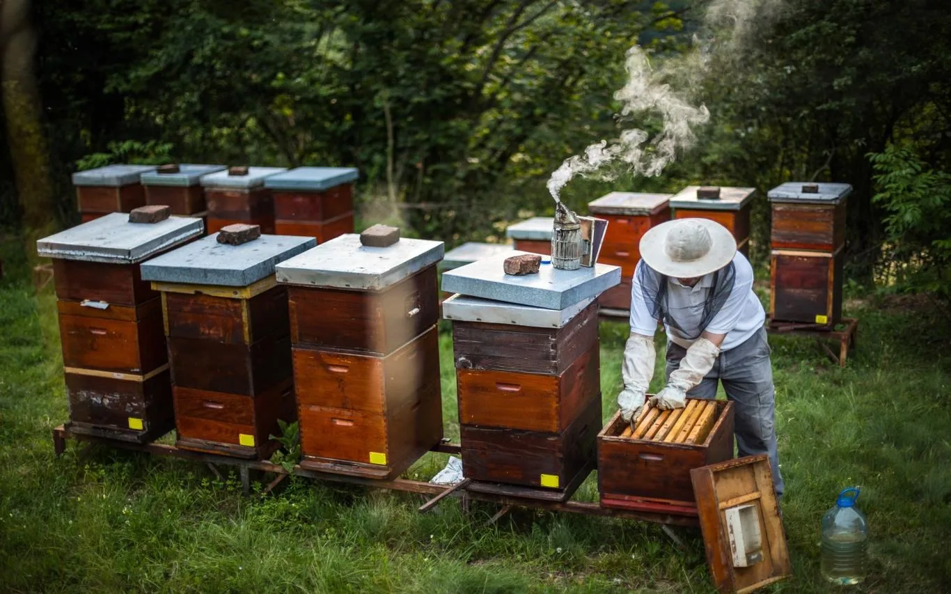 Explore Beekeeping screenshot 2