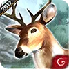 Deer Hunt 2017: 3D Hunting