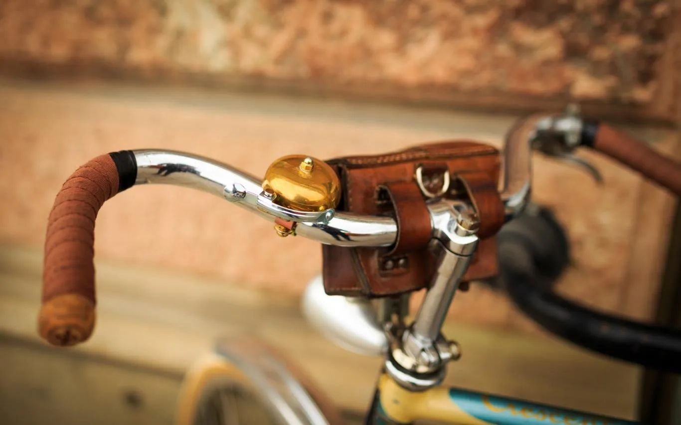 Bicycles screenshot 2