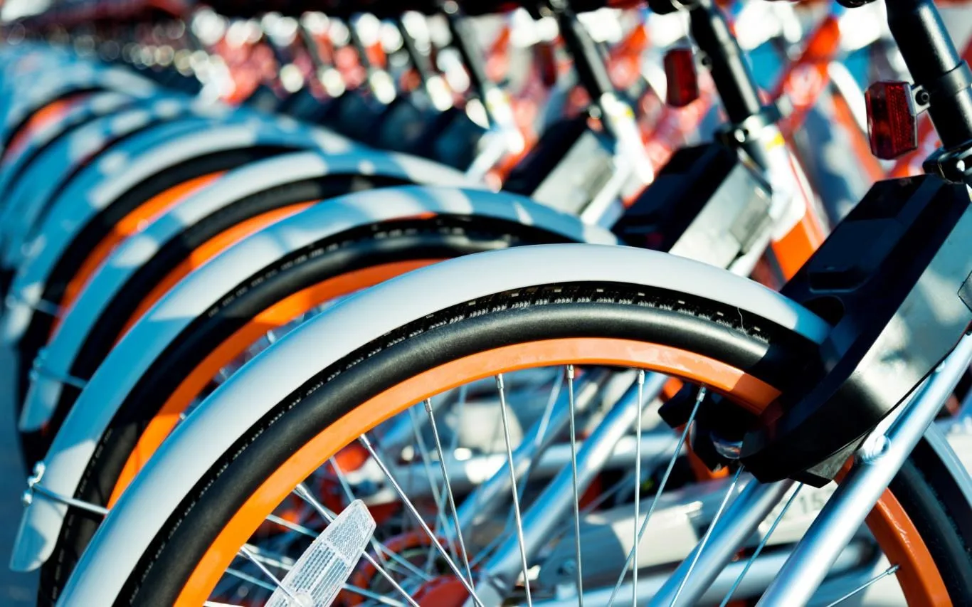 Bicycles screenshot 4