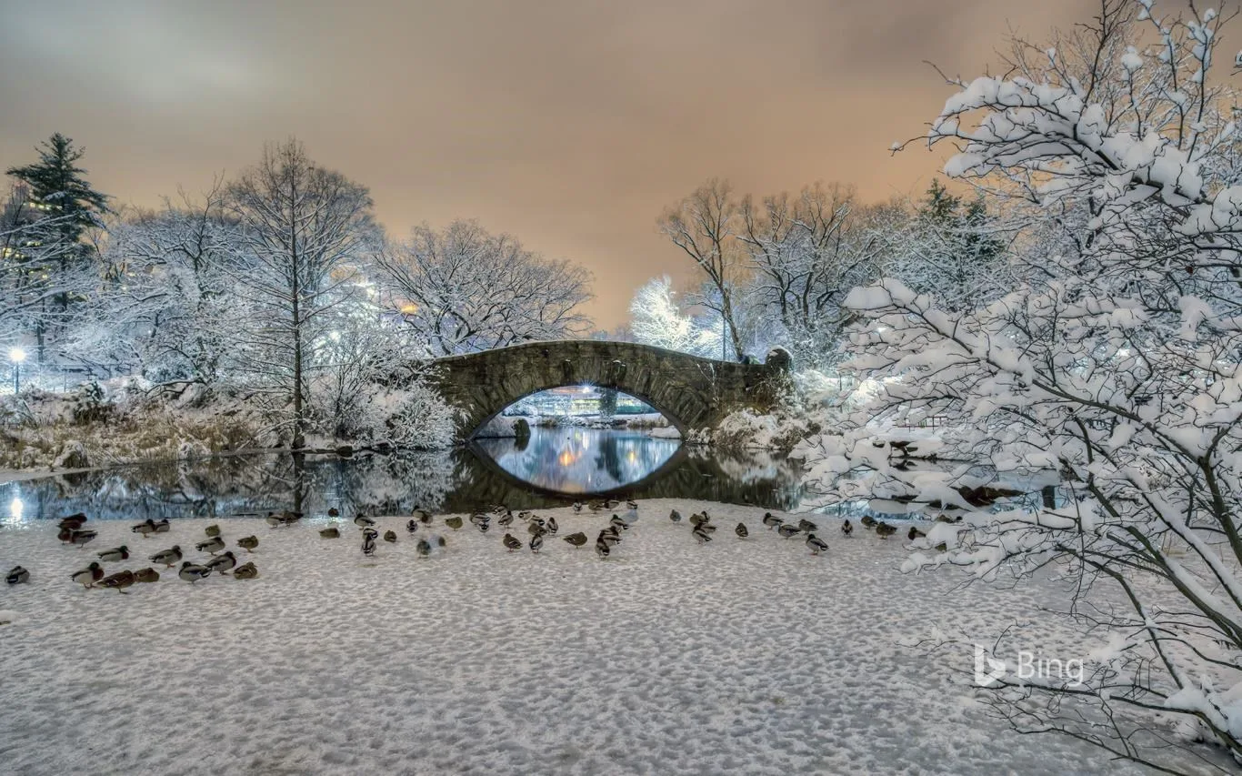 Bing in Winter screenshot 1