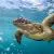 World Oceans Day
