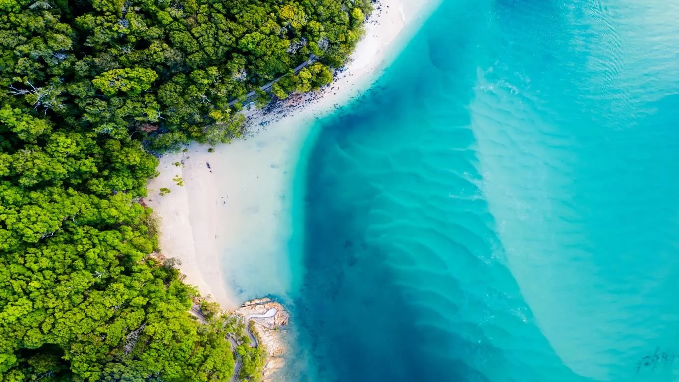 World Oceans Day screenshot 2