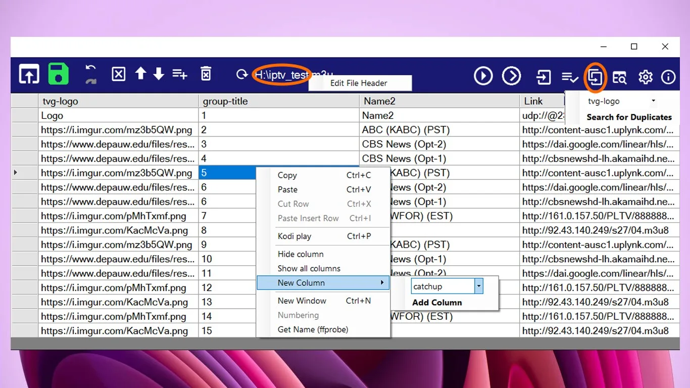 IPTV Playlist Editor for Windows screenshot 1