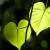 Hearts in Nature