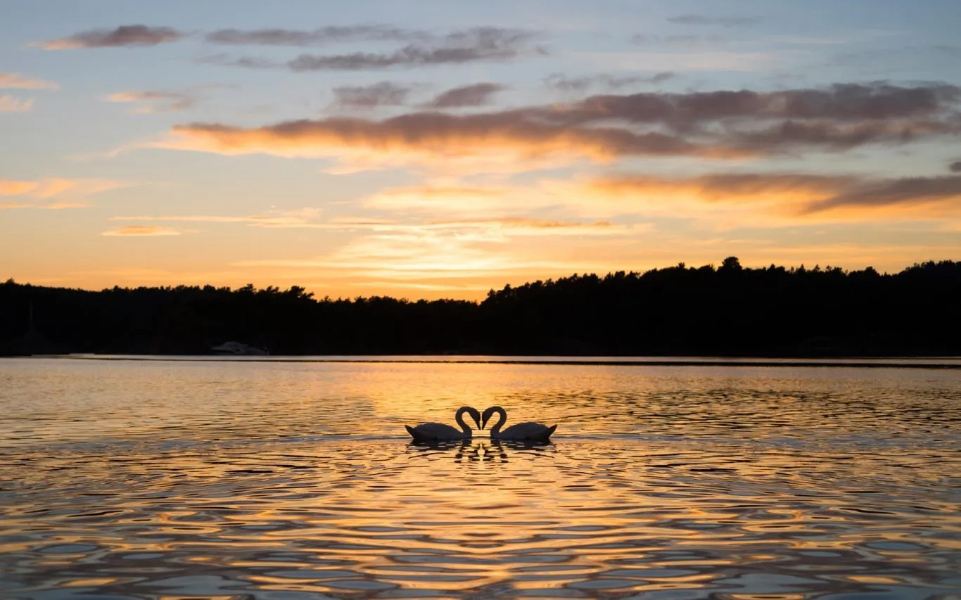Hearts in Nature screenshot 2