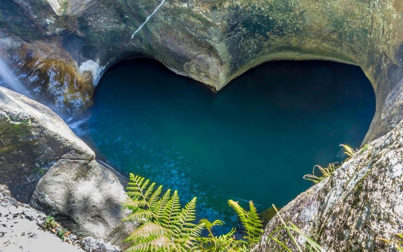 Hearts in Nature screenshot 3