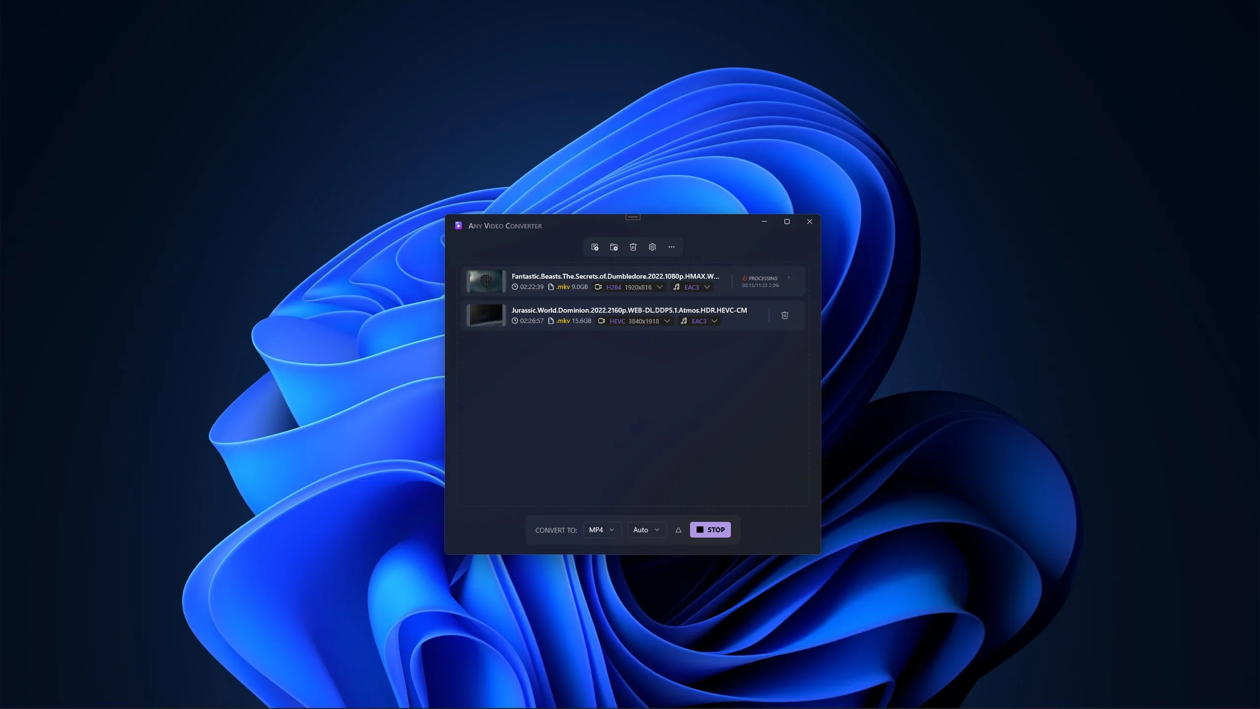 Video Converter - Any Video Converter screenshot 3
