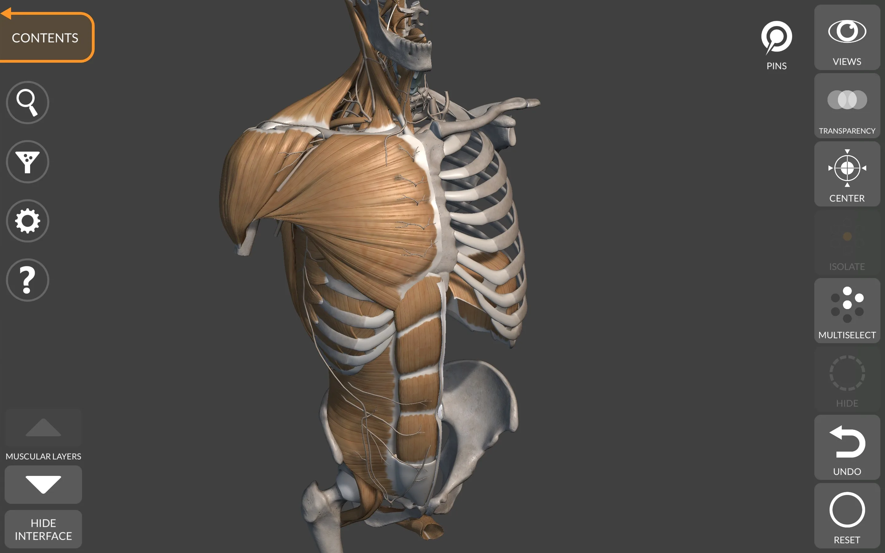 3D Anatomy for the Artist screenshot 1