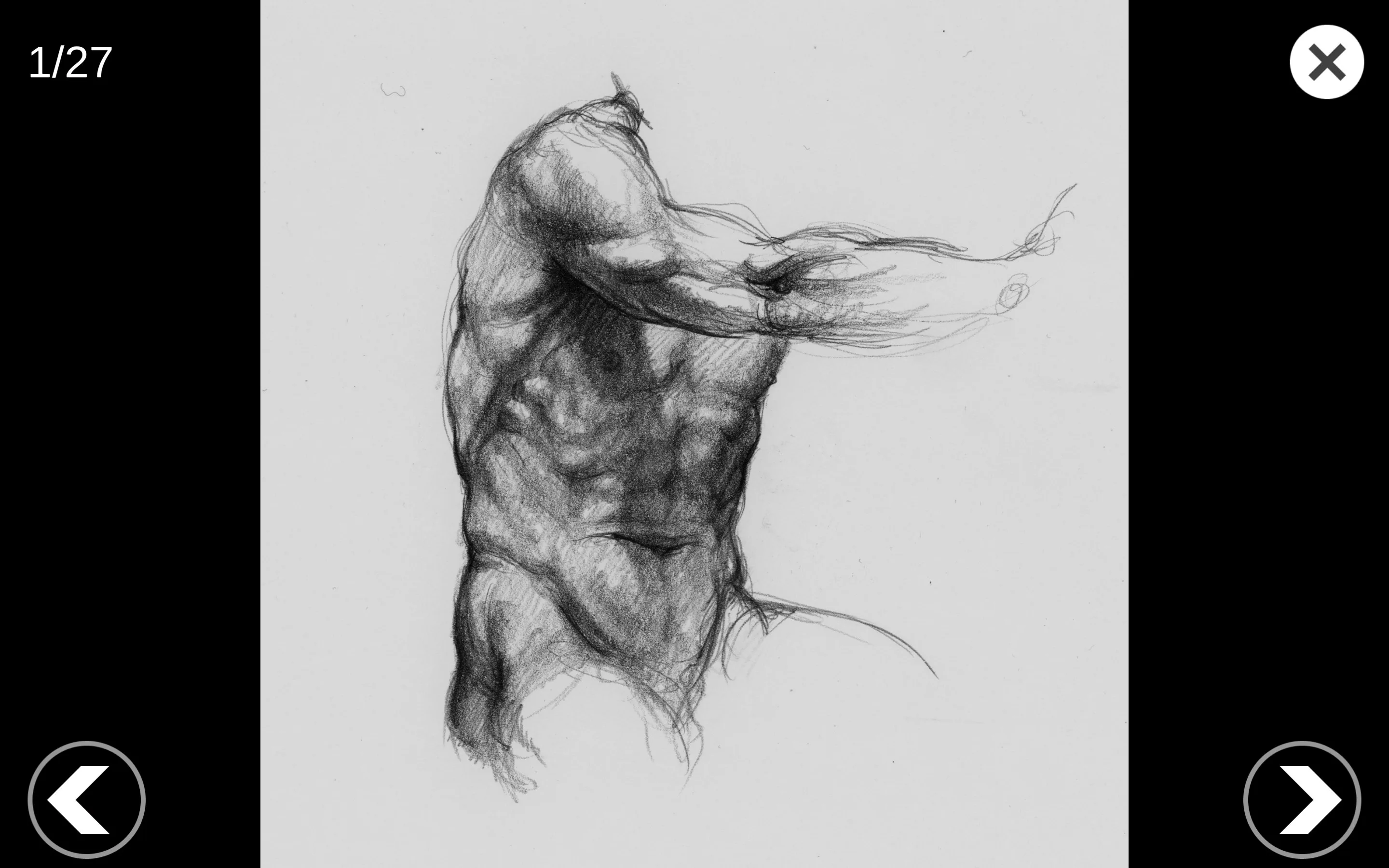 3D Anatomy for the Artist screenshot 2