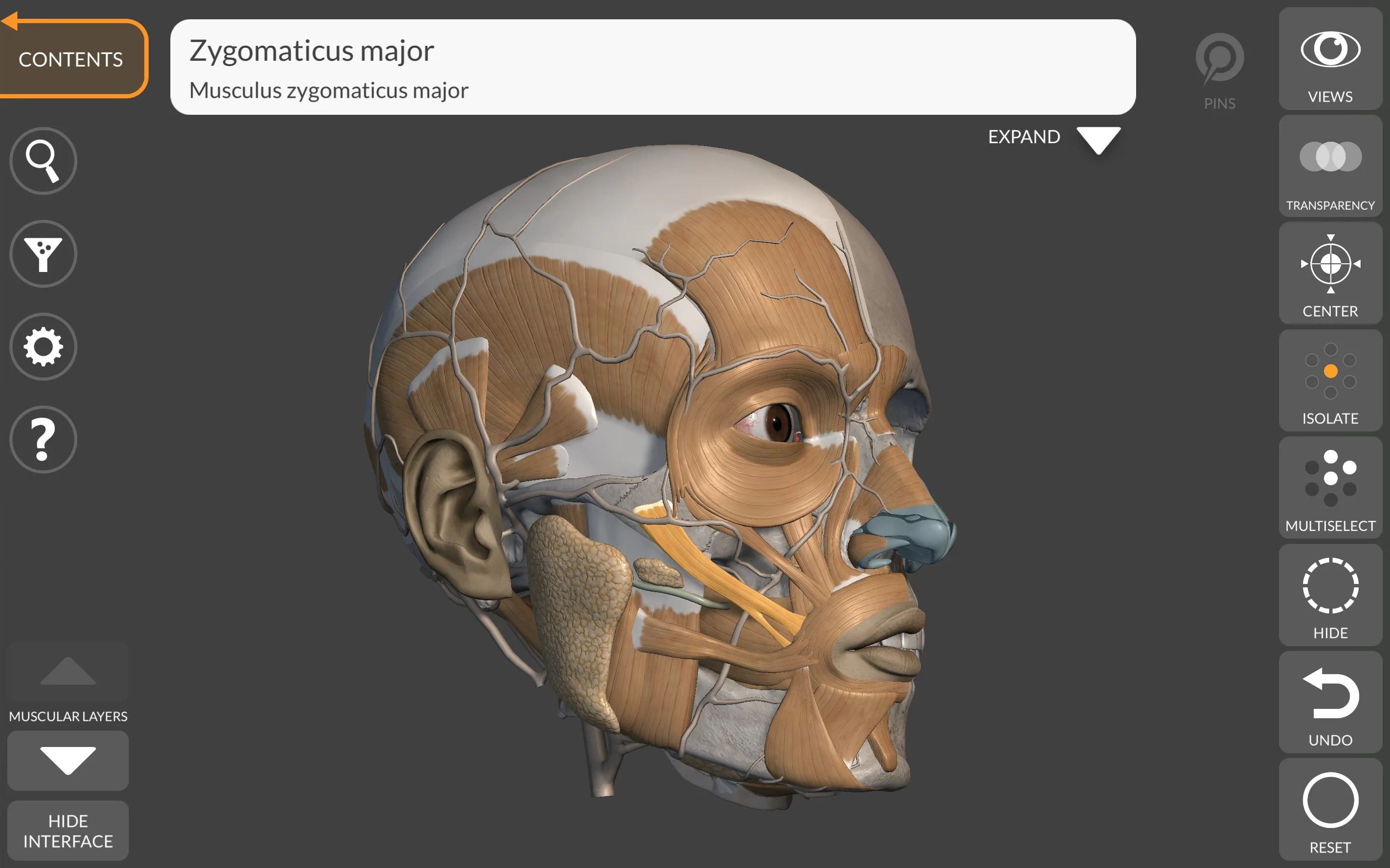 3D Anatomy for the Artist screenshot 4