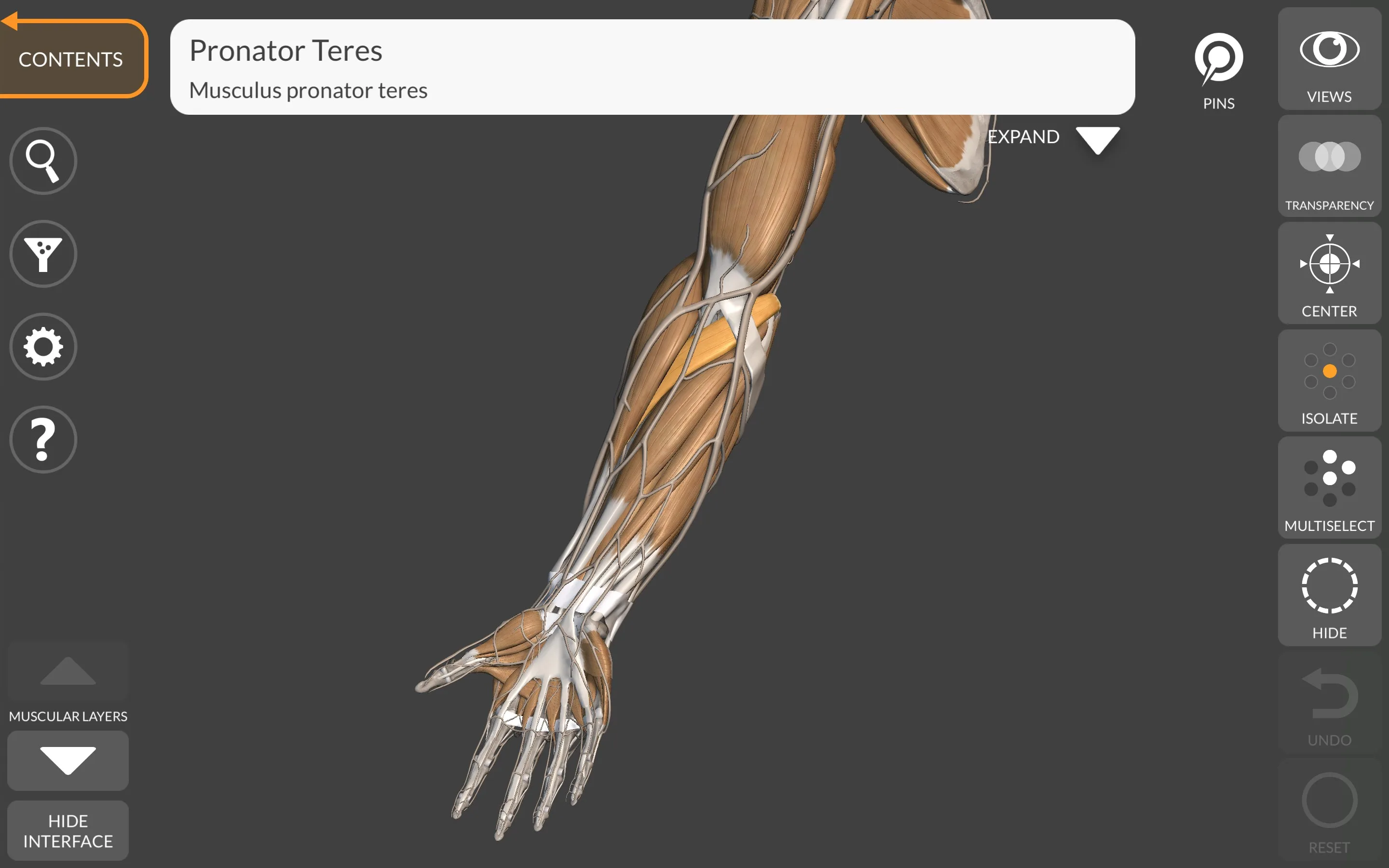 3D Anatomy for the Artist screenshot 5