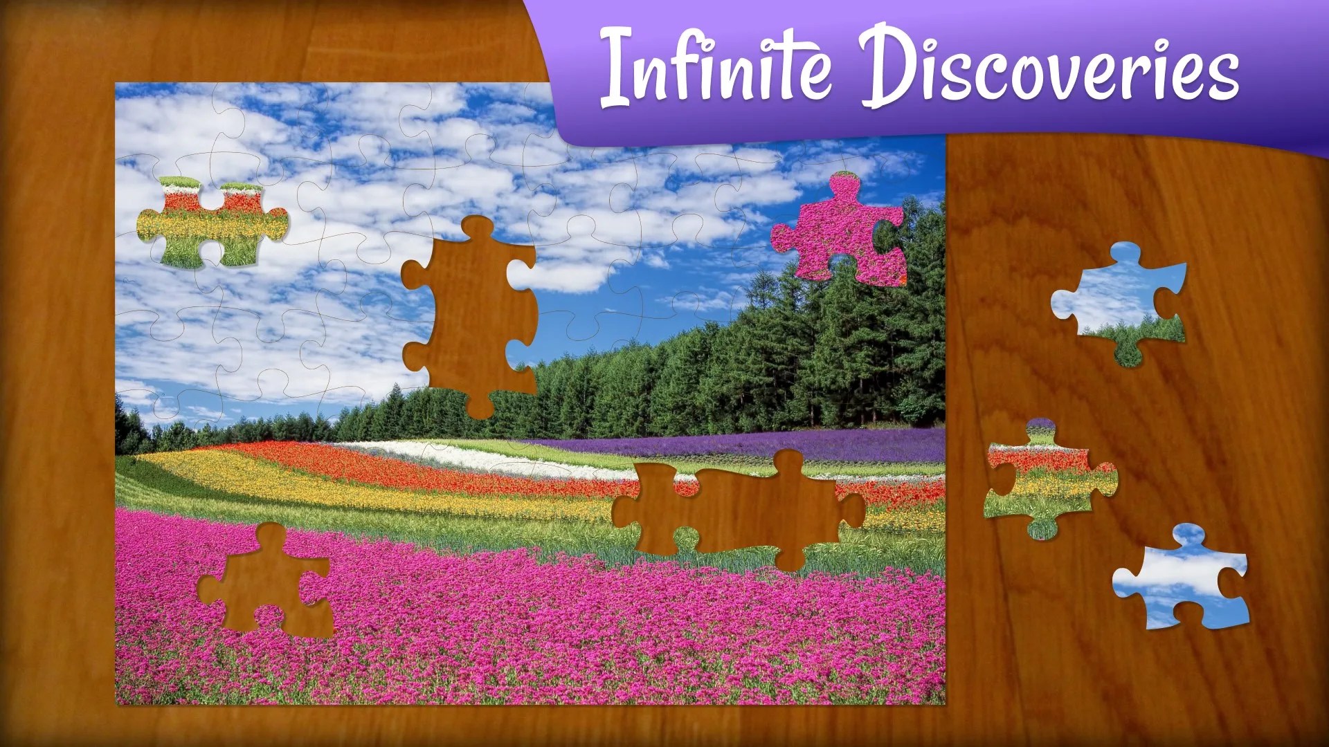 Jigsaw Puzzle Quest screenshot 1