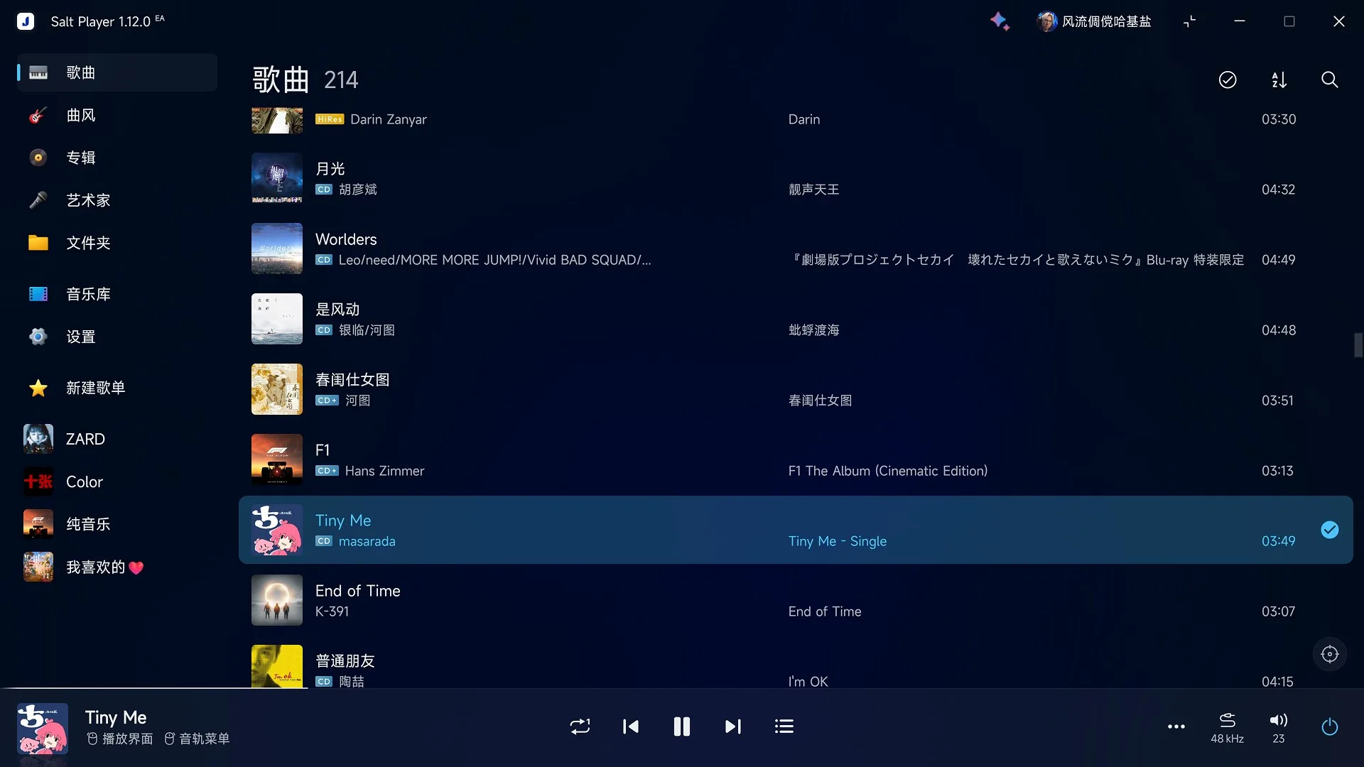 Salt Player for Windows screenshot 3
