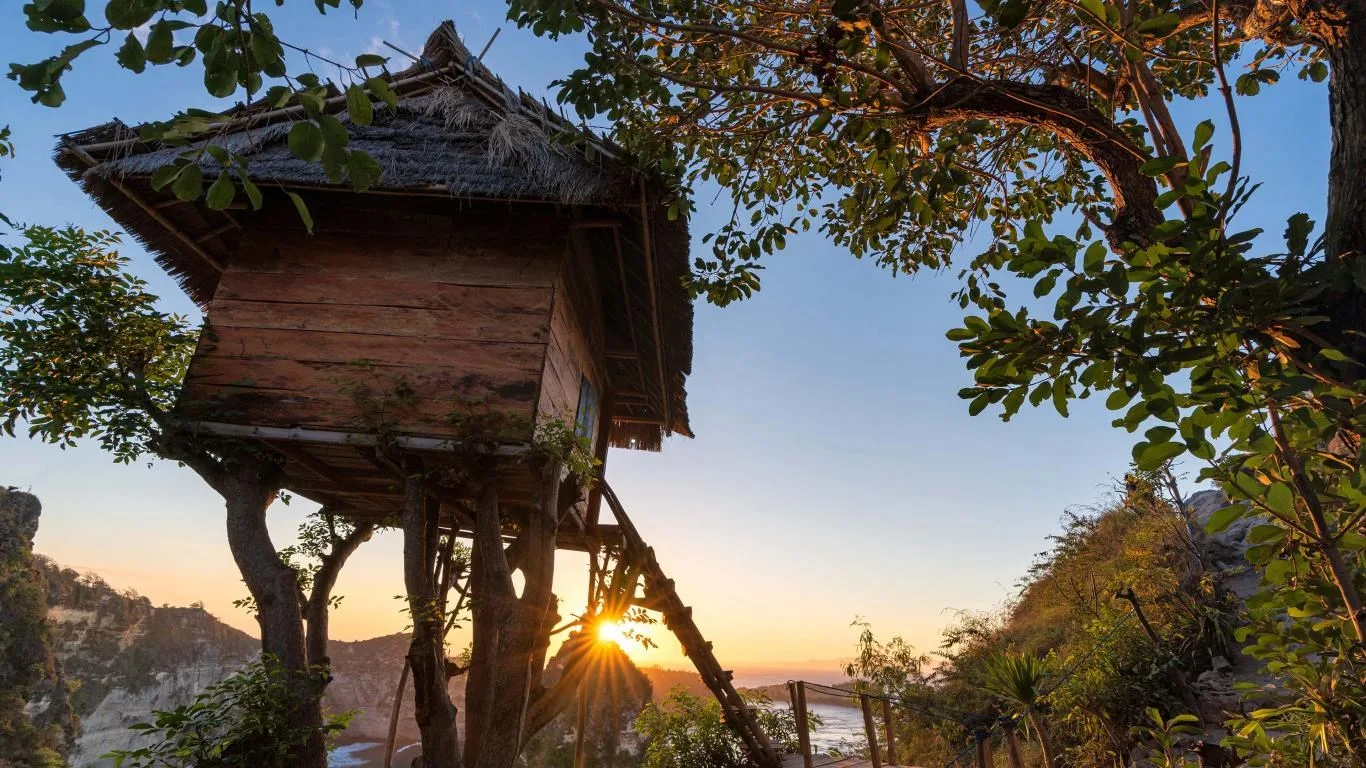 Treehouses screenshot 1