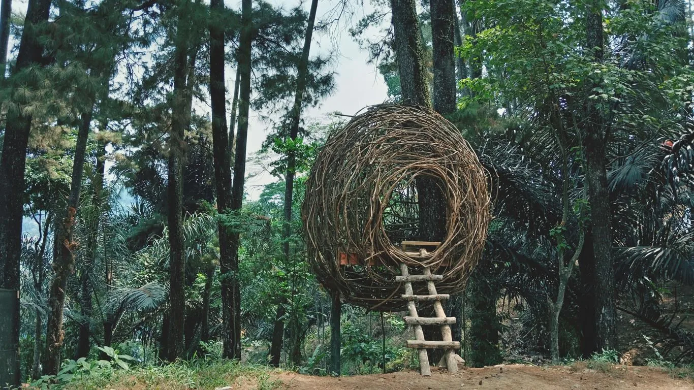 Treehouses screenshot 2