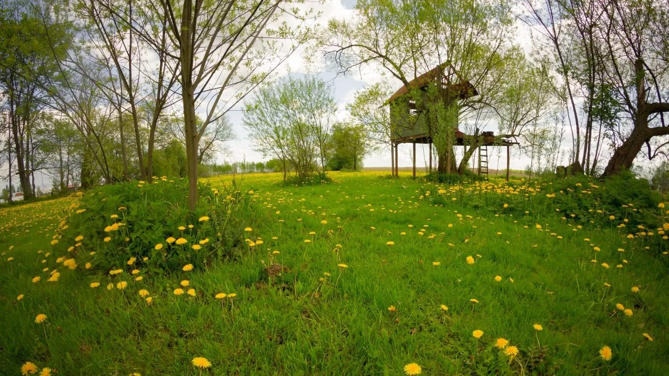 Treehouses screenshot 3
