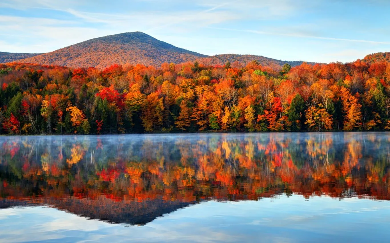 Autumn Colors screenshot 4