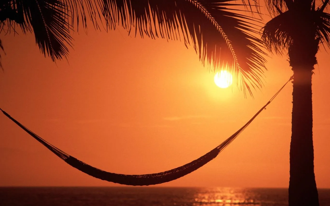 Mexican Vacation screenshot 2