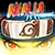 Ninja World