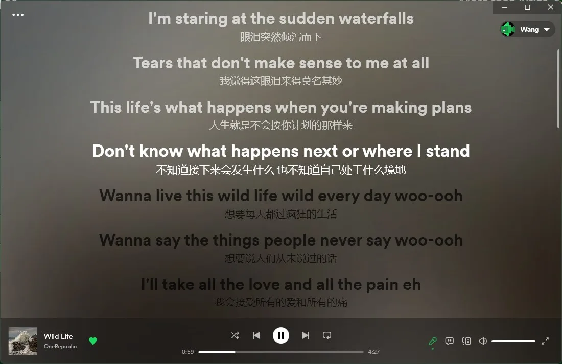 Lyricify screenshot 1