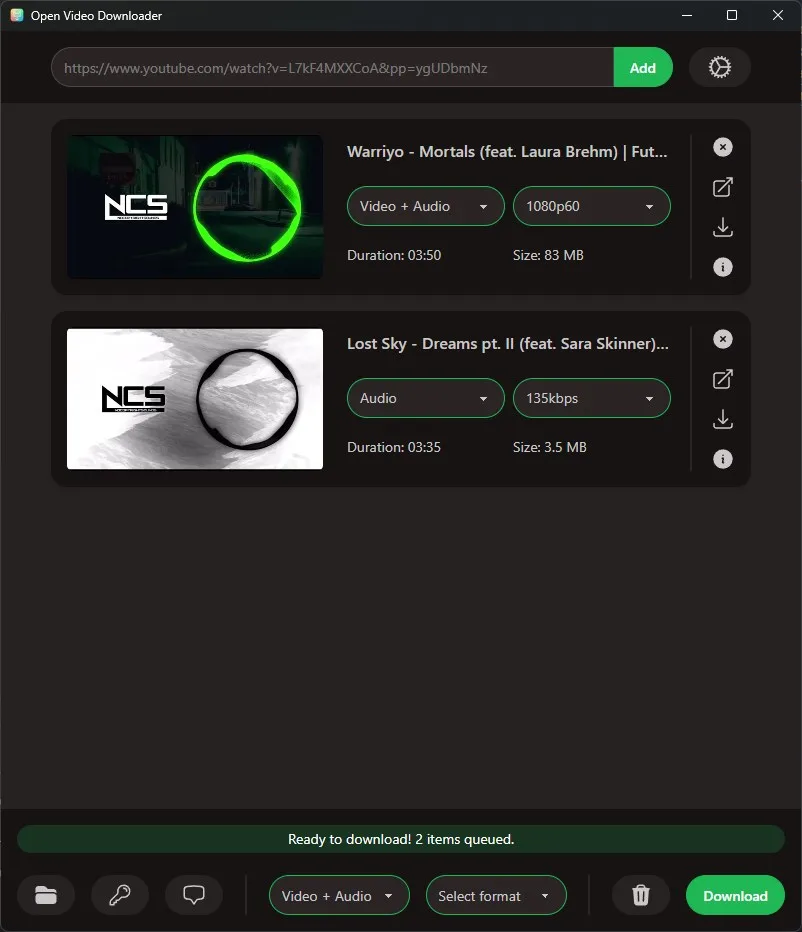 Open Video Downloader screenshot 1