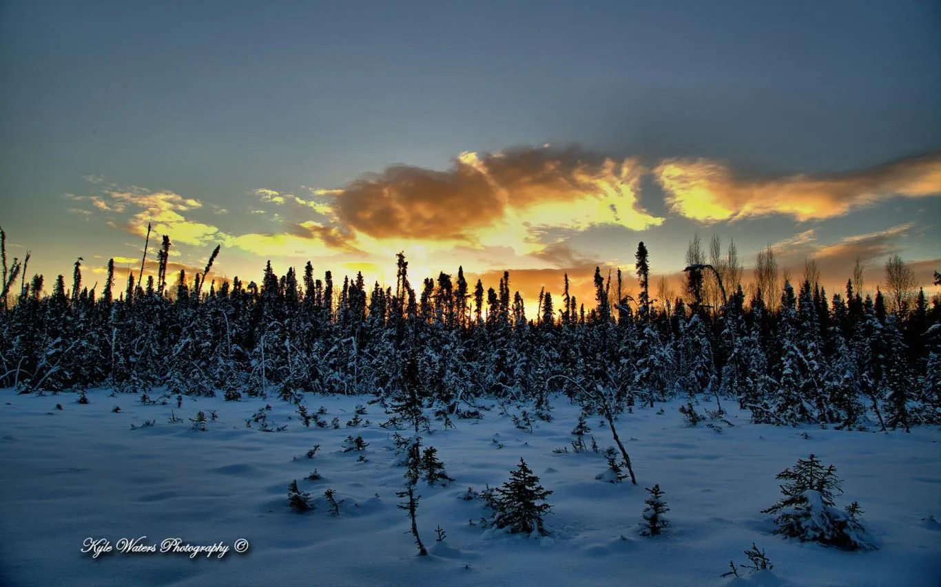 Alaskan Landscapes by Kyle Waters screenshot 4